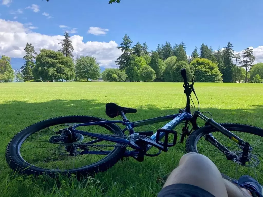 Business and Marketing Student Enjoying Canada