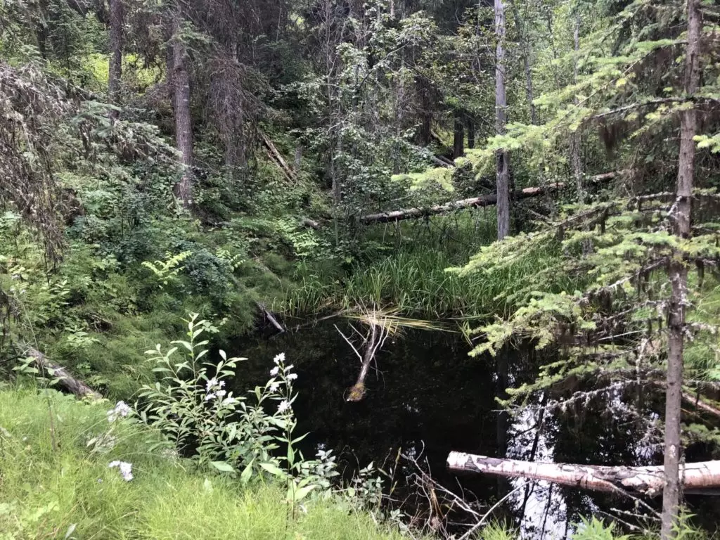 skills successful counsellors need mountain side